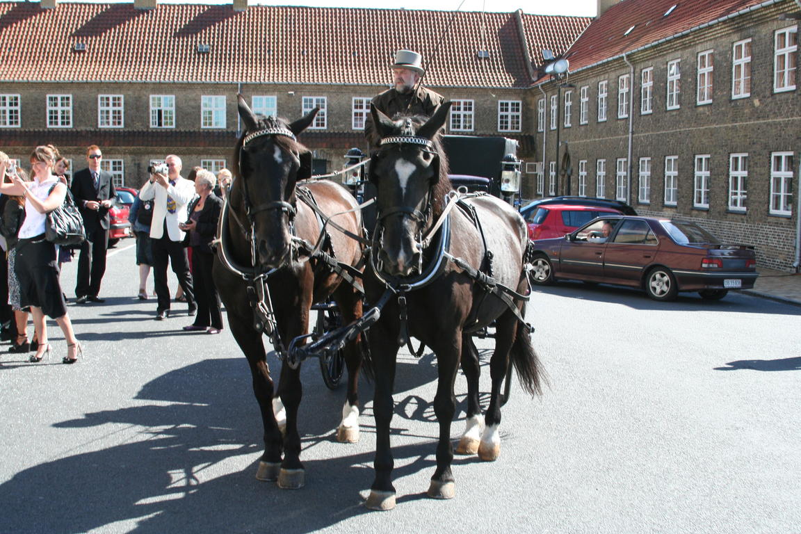 Klik på billedet for at lukke vinduet